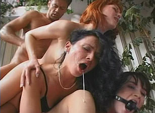 Animal Trainer #07, Scene #02